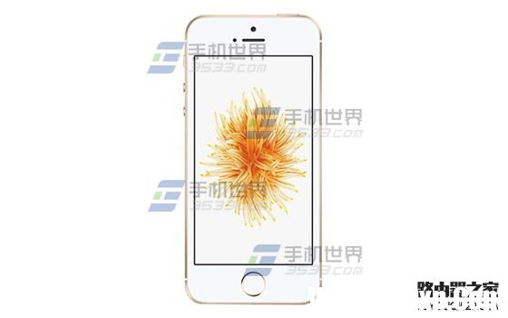 苹果iPhoneSE应用访问限制怎么设置