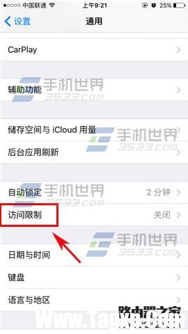 苹果iPhoneSE应用访问限制怎么设置