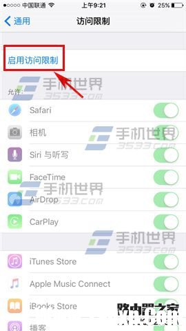 苹果iPhoneSE应用访问限制怎么设置