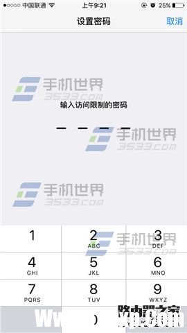 苹果iPhoneSE应用访问限制怎么设置