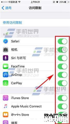 苹果iPhoneSE应用访问限制怎么设置