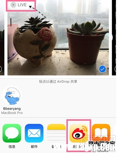 新浪微博怎么发Live Photos 微博live photos怎么用