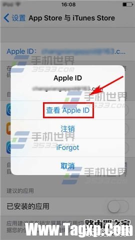 苹果iPhone6sPlus怎么充值app商店?