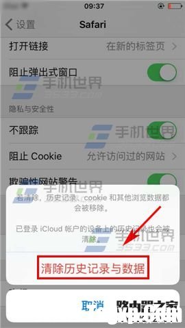 苹果iPhone6S清除浏览器缓存方法