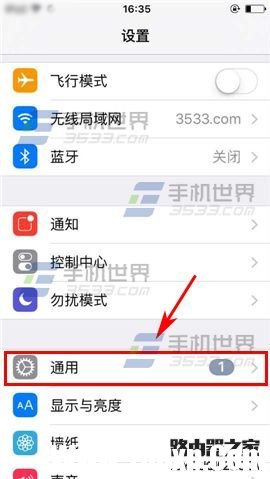 苹果iPhone6sPlus如何设置切换控制