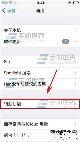 苹果iPhone6sPlus如何设置切换控制