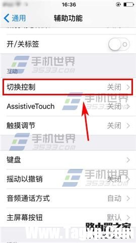 苹果iPhone6sPlus如何设置切换控制