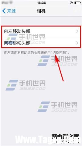 苹果iPhone6sPlus如何设置切换控制