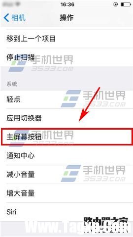 苹果iPhone6sPlus如何设置切换控制