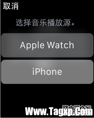 apple watch怎么连接蓝牙耳机 苹果watch连接蓝牙耳机方法5