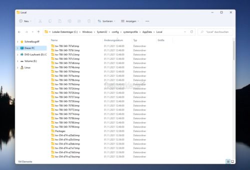 Windows11/10 - 登录时仍会创建空的 TW 文件夹