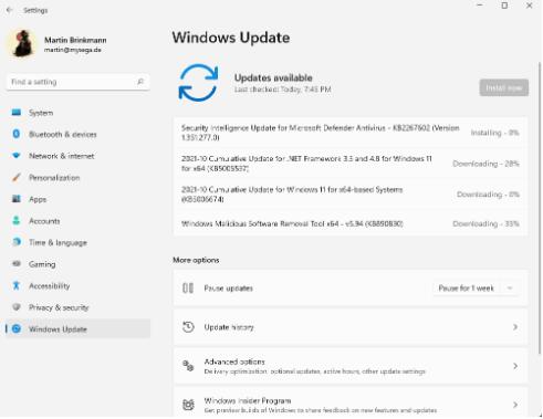 不兼容系统上的Windows11：Windows更新工作正