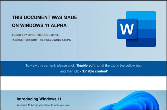 注意 Windows 11 Alpha