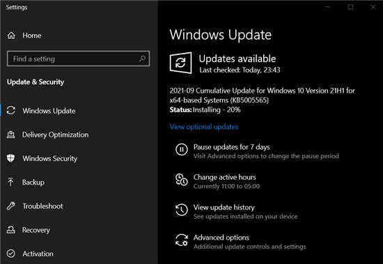 Windows10 2021 年 9 月 10 日更新：(内部版本