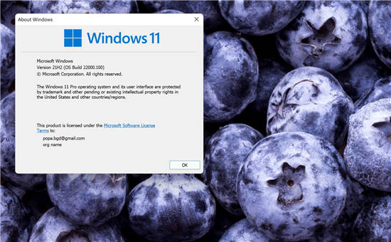 想要更稳定的 Windows 11 版
