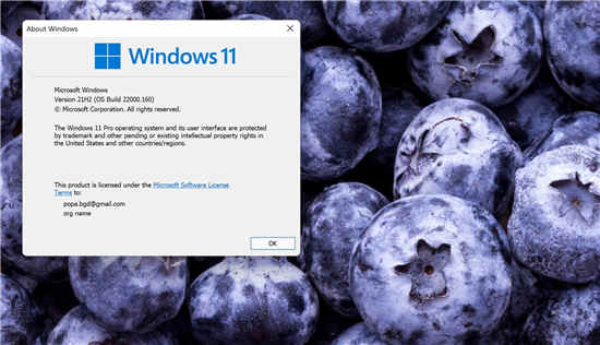 微软发布新的 Windows 11 测