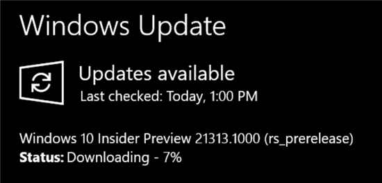 更新Windows10 Build 21313.100