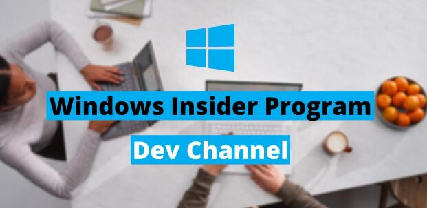 Windows10 Insider Preview Build 20246将自动Linux发行版安