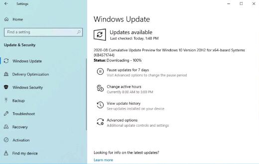 Beta通道中的Windows 10 20H2内部版本19042.48