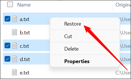 如何从 Windows 上的回收站恢复已删除的文件
