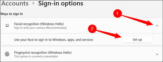 如何在Windows11上使用Windows Hello网