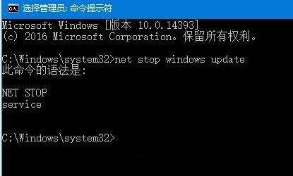 使用命令提示符在 Windows 11 上映射(断开
