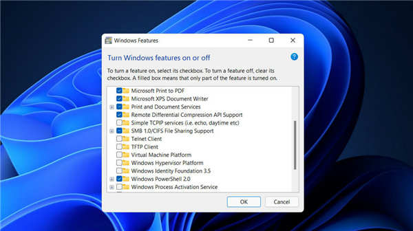 win11系统服务哪些可以关闭_在Windows11上安