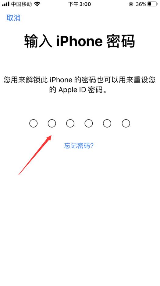 苹果手机忘记id密码了怎么弄？(4)