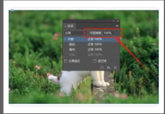 Indesign调整对象的透明度方法介绍