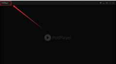 PotPlayer中开启显卡硬件解