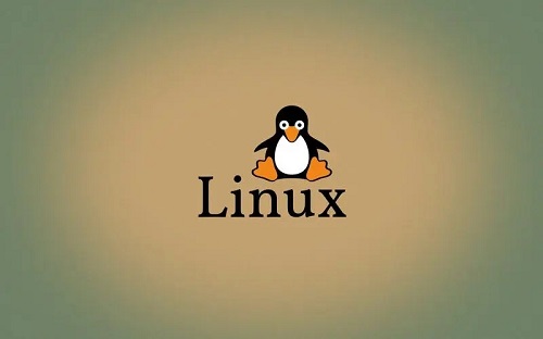 linux是什么操作系统详情(linux的操作系统是什么)