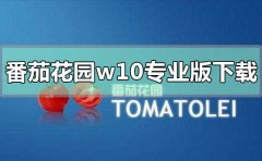 番茄花园win10专业版在哪下载