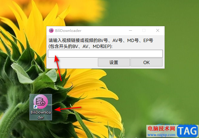 BiliDownloader下载哔哩哔哩视频的方法