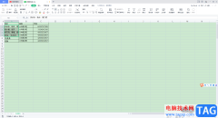 WPS Excel中取消文字自动换