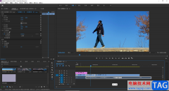 Adobe premiere给视频调色的方法教程