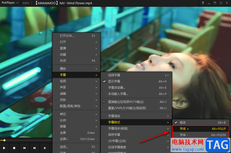 PotPlayer修改字幕字体大小的方法
