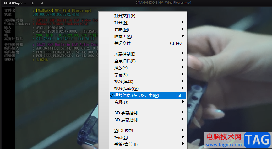 KMPlayer查看视频播放信息的方法