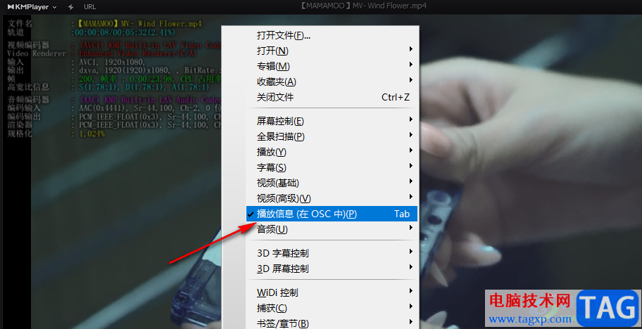 KMPlayer查看视频播放信息的方法