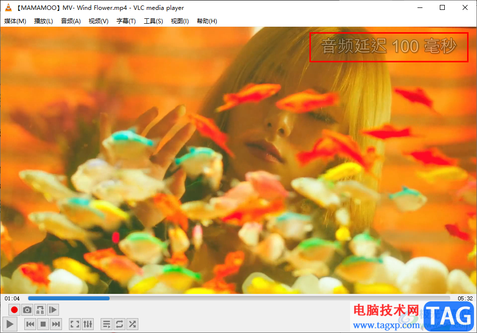 vlc media player解决音画不同步的方法