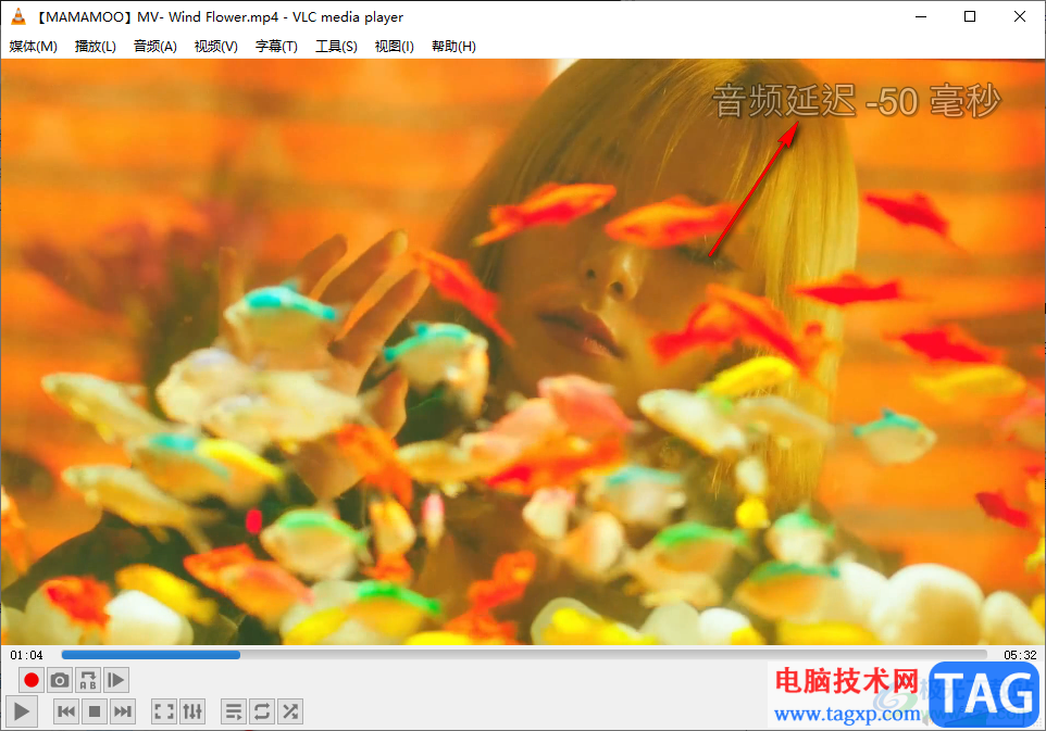 vlc media player解决音画不同步的方法