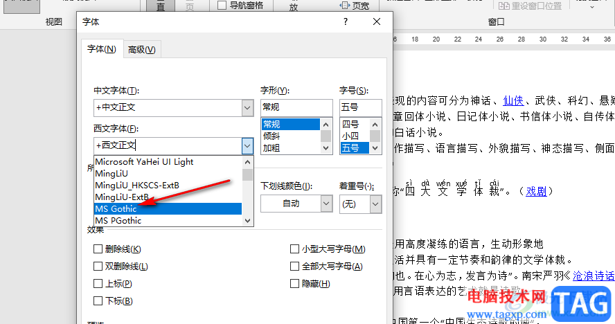 Word设置西文字体的方法