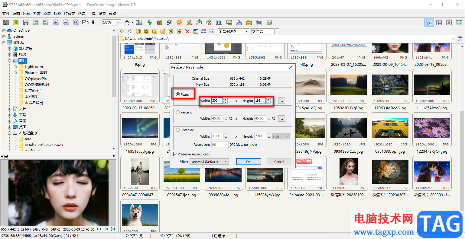 FastStone Image Viewer调整图片尺寸大小的方法
