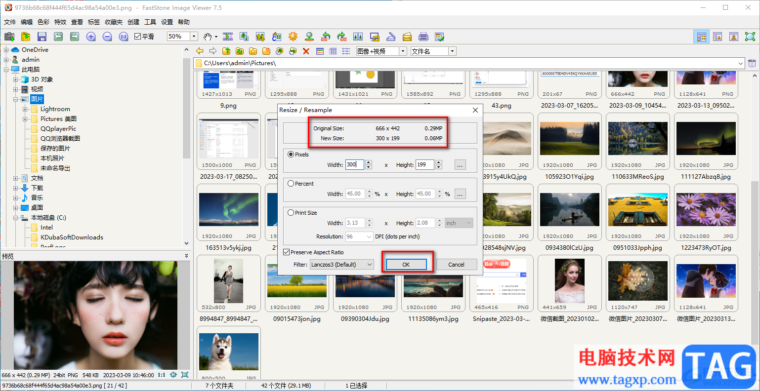FastStone Image Viewer调整图片尺寸大小的方法