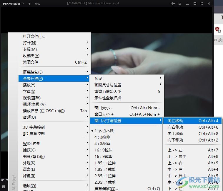 KMPlayer上下左右平移窗口位置的方法