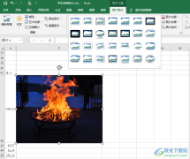 Excel设置图片版式的方法