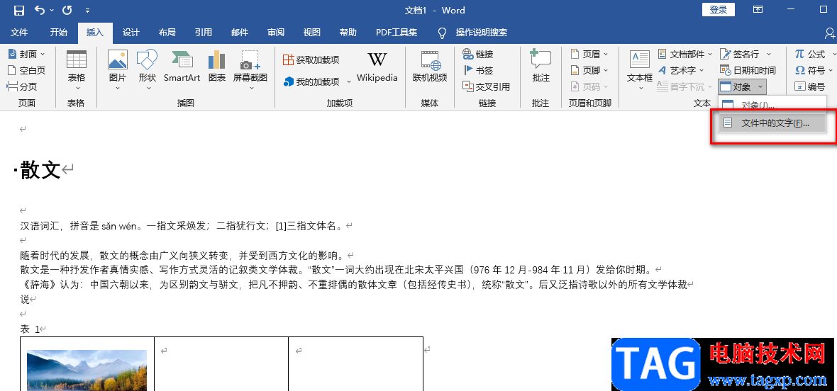 Word文档保护忘记密码的解决方法