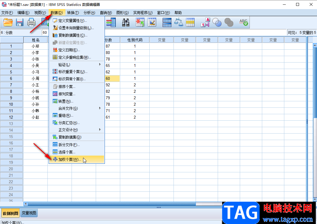 SPSS进行加权个案操作的方法教程