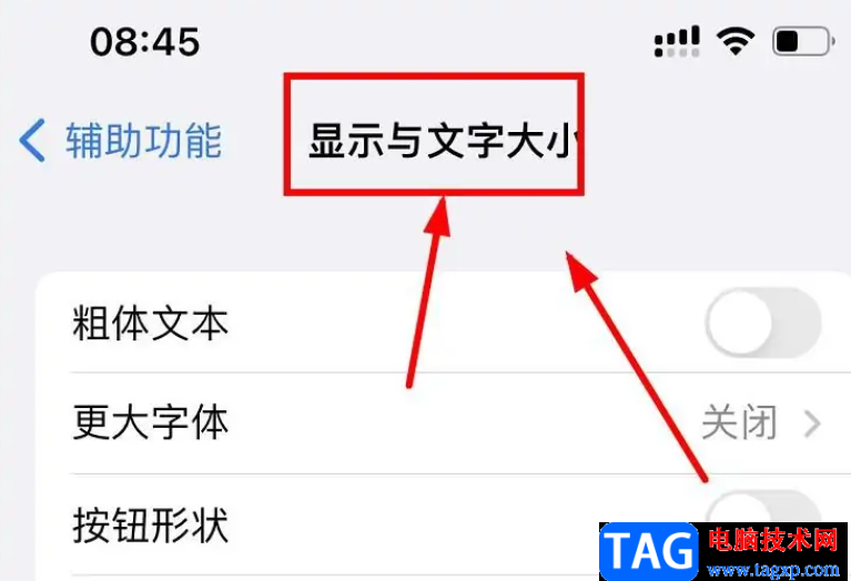 ​iPhone13显示粗体文本的教程