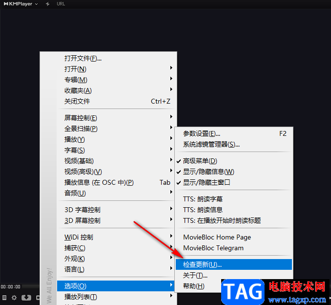 Kmplayer Plus进行更新的方法