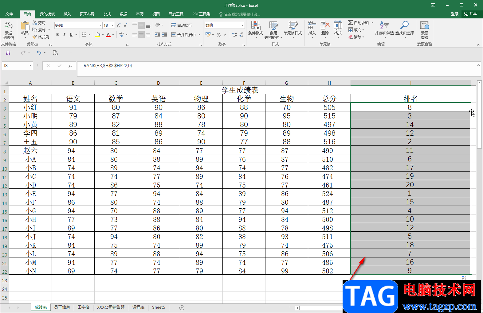 Excel表格进行排名的方法教程